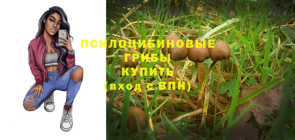 а пвп мука Мегион
